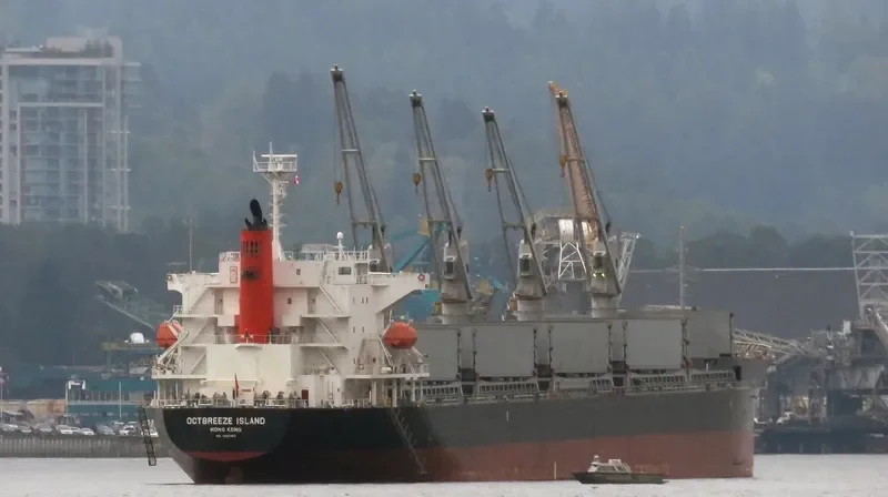 OCTBREEZE ISLAND Bulk Carrier IMO 9597587 photo 9