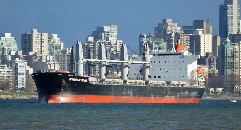 OCTBREEZE ISLAND Bulk Carrier IMO 9597587 photo 10