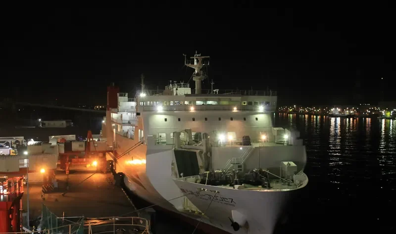 SILVER PRINCESS Ro-Ro IMO 9597616