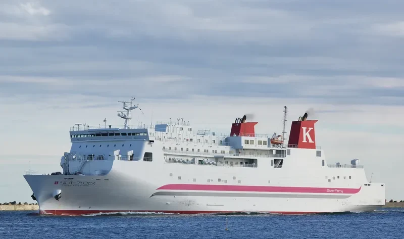 SILVER PRINCESS Ro-Ro IMO 9597616 photo 2