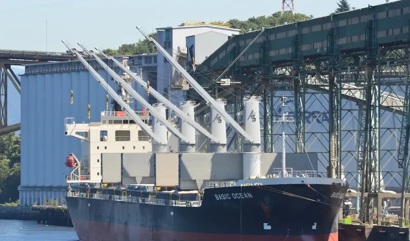 ECO CROSSFIRE Bulk Carrier IMO 9597654 photo 7