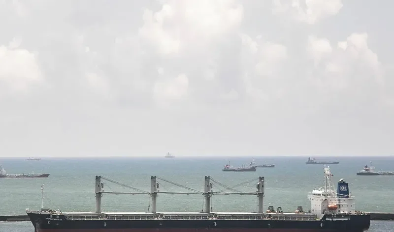 CORELEADER OL Bulk Carrier IMO 9597678