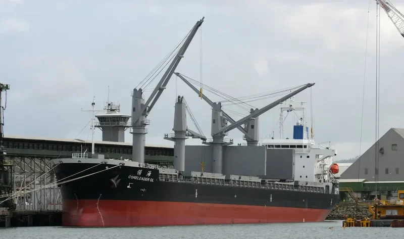 CORELEADER OL Bulk Carrier IMO 9597678 photo 4