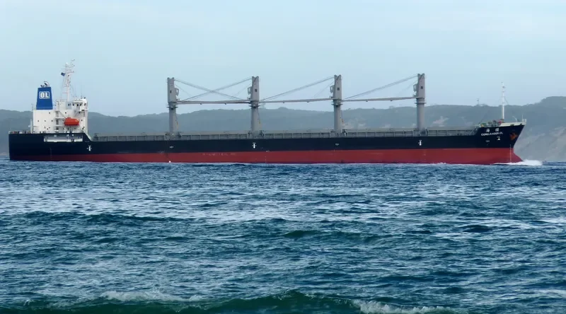 CORELEADER OL Bulk Carrier IMO 9597678 photo 6