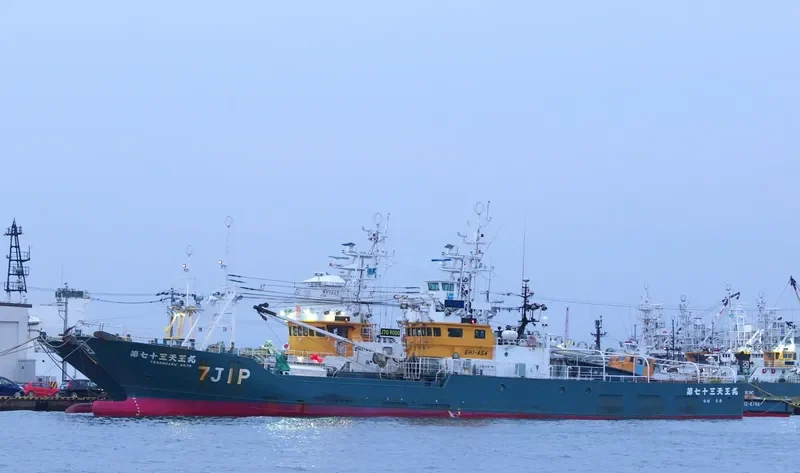 TENO MARU NO.73 General Cargo IMO 9597707