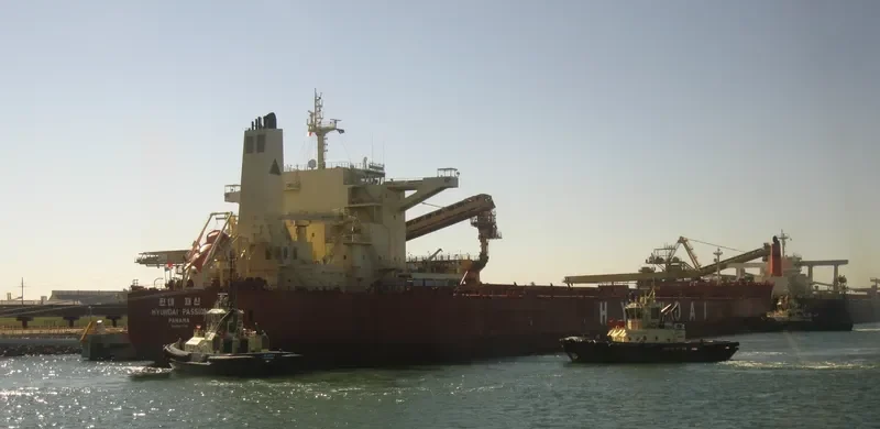 HL ESPERANCE Bulk Carrier IMO 9597745