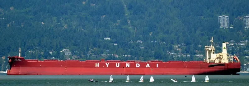 HL ESPERANCE Bulk Carrier IMO 9597745 photo 8