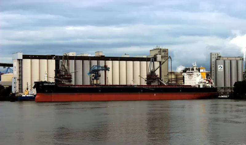 STARDUST Bulk Carrier IMO 9597757 photo 2
