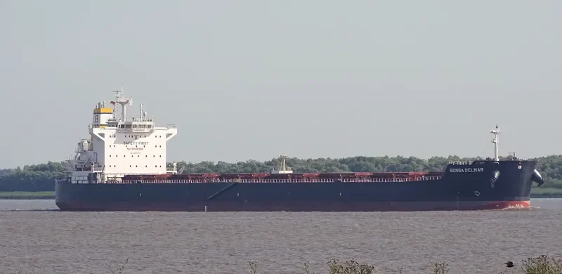 STARDUST Bulk Carrier IMO 9597757 photo 3