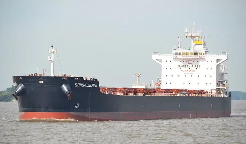 STARDUST Bulk Carrier IMO 9597757 photo 4