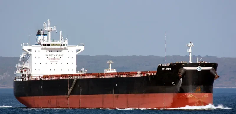 STARDUST Bulk Carrier IMO 9597757 photo 7