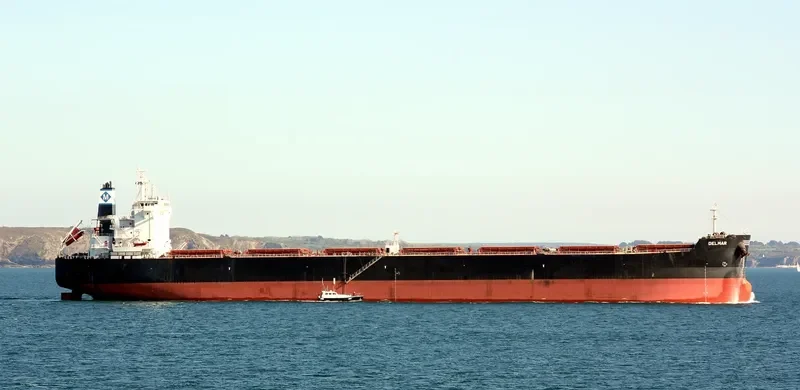 STARDUST Bulk Carrier IMO 9597757 photo 8