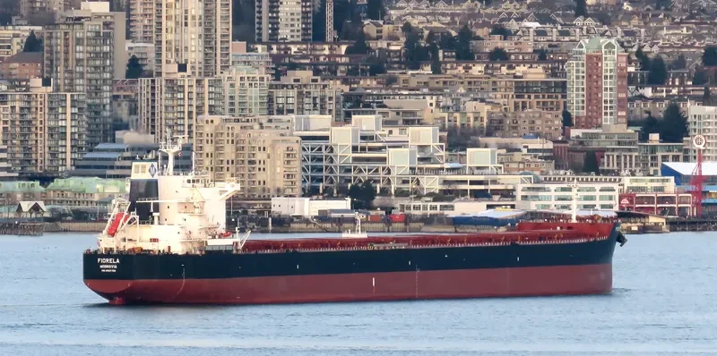 FIORELA Bulk Carrier IMO 9597769 photo 5