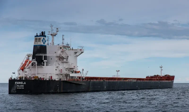 FIORELA Bulk Carrier IMO 9597769 photo 6