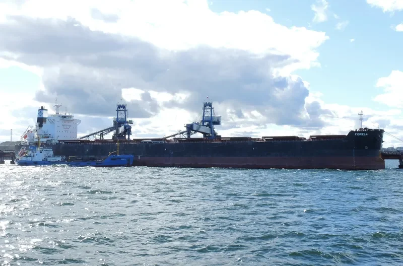 FIORELA Bulk Carrier IMO 9597769 photo 7