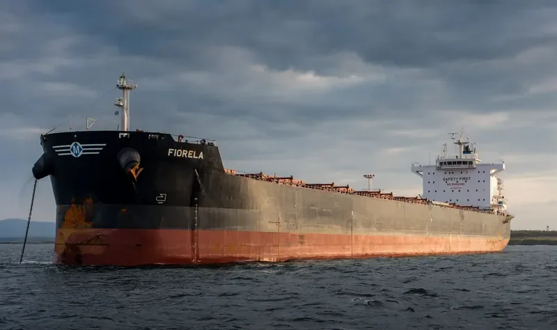 FIORELA Bulk Carrier IMO 9597769 photo 9