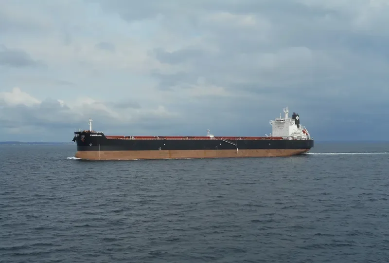 PANORAMA Bulk Carrier IMO 9597771