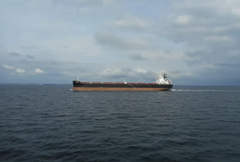 PANORAMA Bulk Carrier IMO 9597771 photo 2