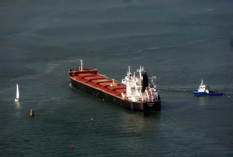 PANORAMA Bulk Carrier IMO 9597771 photo 3