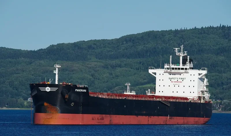 PANORAMA Bulk Carrier IMO 9597771 photo 4