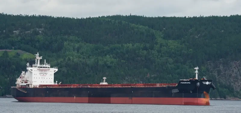 PANORAMA Bulk Carrier IMO 9597771 photo 5