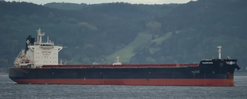 PANORAMA Bulk Carrier IMO 9597771 photo 6