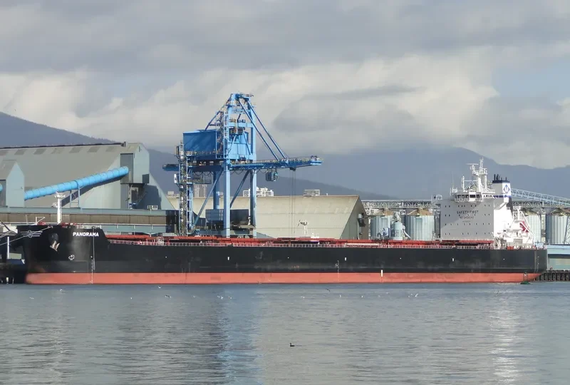PANORAMA Bulk Carrier IMO 9597771 photo 7