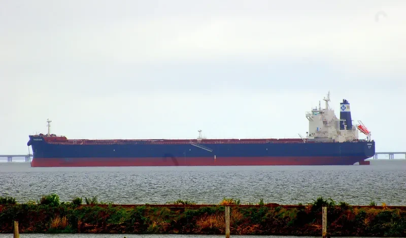 PANORAMA Bulk Carrier IMO 9597771 photo 8