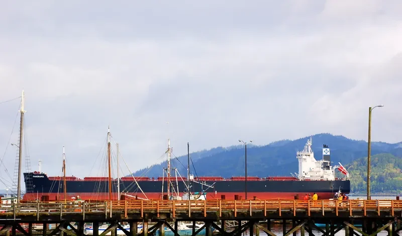 PANORAMA Bulk Carrier IMO 9597771 photo 9