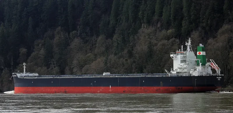 GALATEIA Bulk Carrier IMO 9597783 photo 2