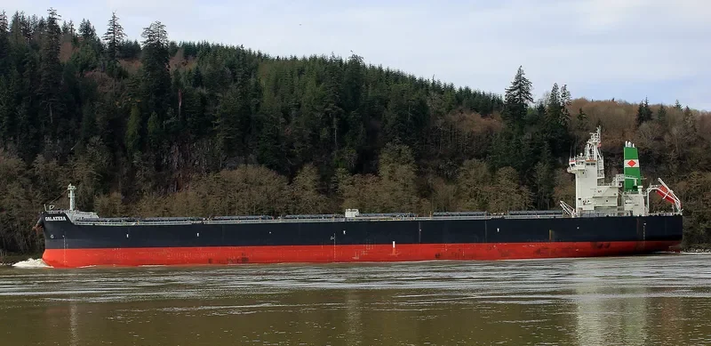 GALATEIA Bulk Carrier IMO 9597783 photo 3