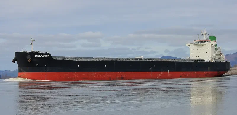 GALATEIA Bulk Carrier IMO 9597783 photo 4
