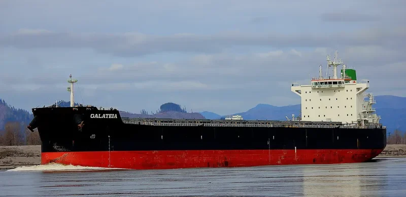 GALATEIA Bulk Carrier IMO 9597783 photo 5