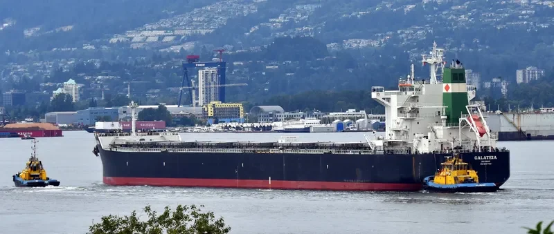GALATEIA Bulk Carrier IMO 9597783 photo 8