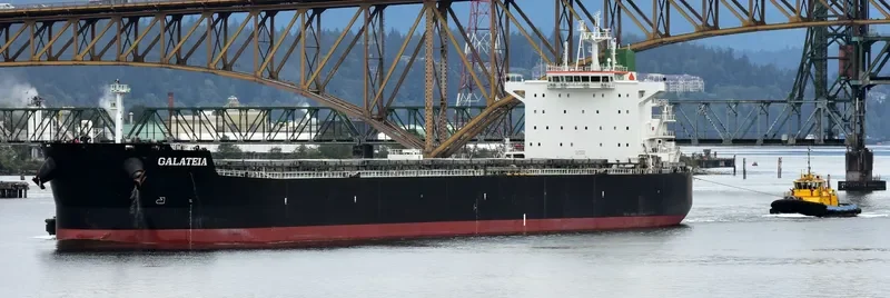 GALATEIA Bulk Carrier IMO 9597783 photo 9