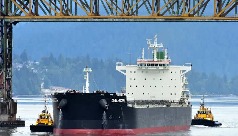 GALATEIA Bulk Carrier IMO 9597783 photo 10