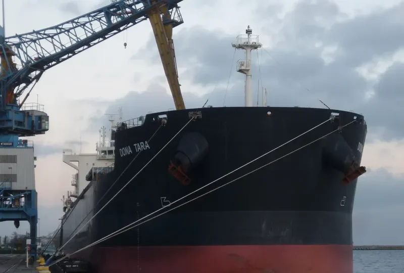 DONA TARA Bulk Carrier IMO 9597812 photo 2