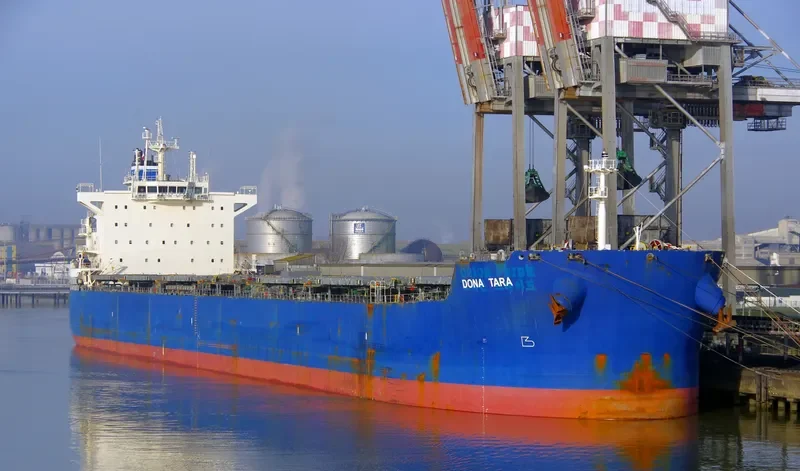 DONA TARA Bulk Carrier IMO 9597812 photo 3