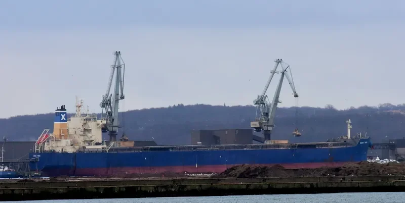 DONA TARA Bulk Carrier IMO 9597812 photo 4