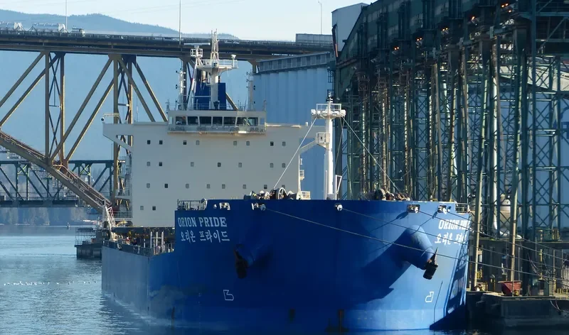 DONA TARA Bulk Carrier IMO 9597812 photo 5