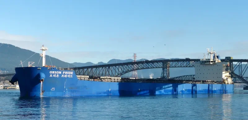 DONA TARA Bulk Carrier IMO 9597812 photo 7