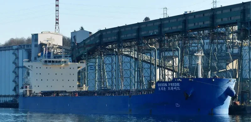 DONA TARA Bulk Carrier IMO 9597812 photo 8