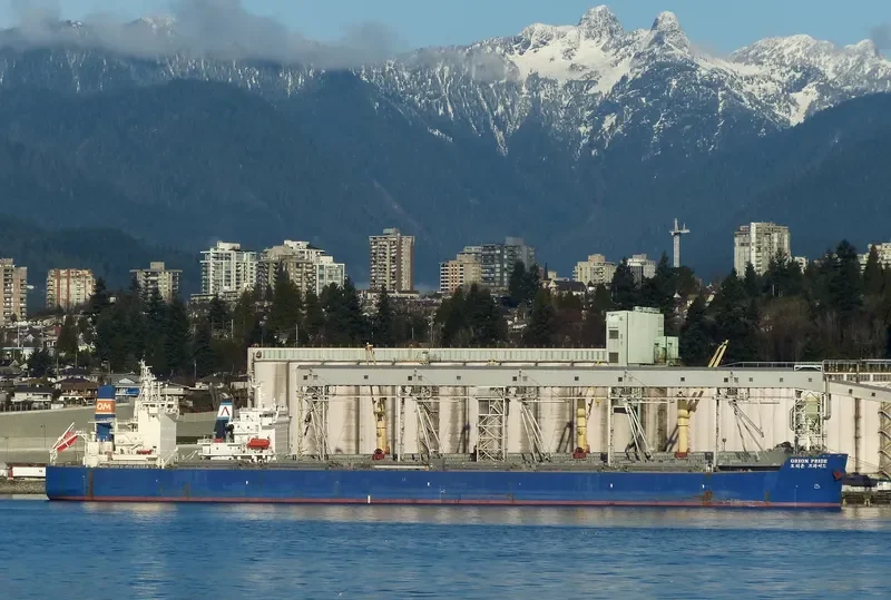DONA TARA Bulk Carrier IMO 9597812 photo 9