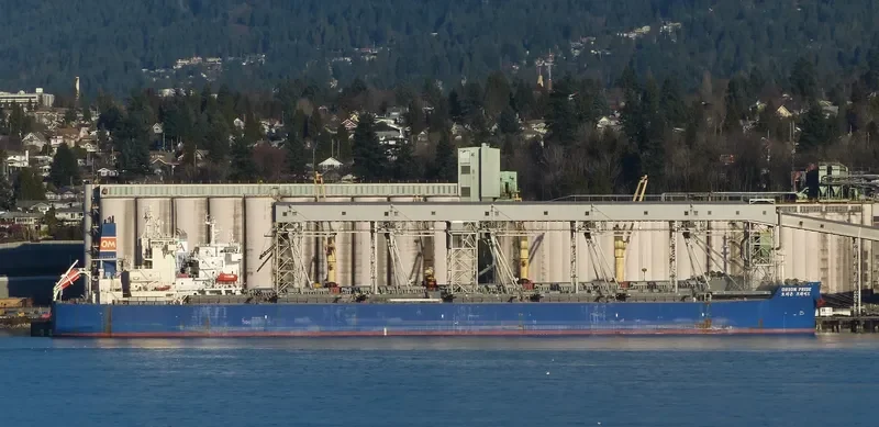 DONA TARA Bulk Carrier IMO 9597812 photo 10