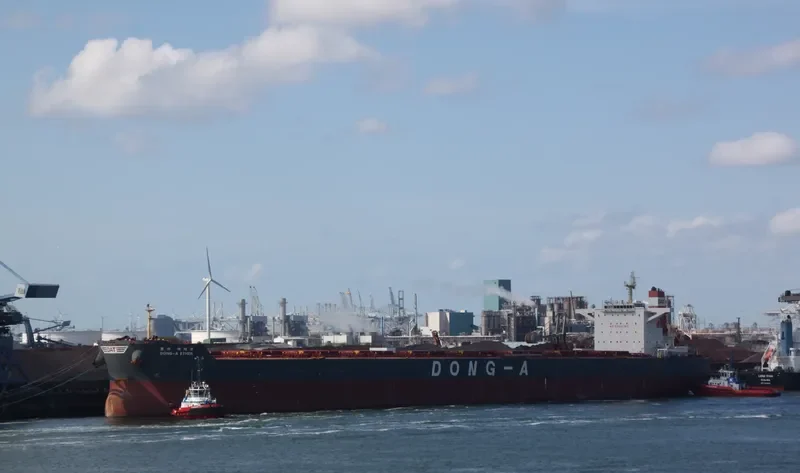 WINNING SPIRIT Bulk Carrier IMO 9597824 photo 5