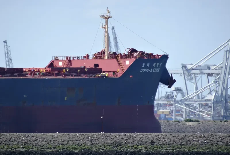 WINNING SPIRIT Bulk Carrier IMO 9597824 photo 6