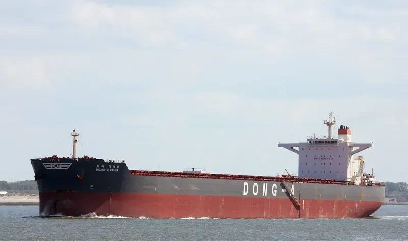 WINNING SPIRIT Bulk Carrier IMO 9597824 photo 8
