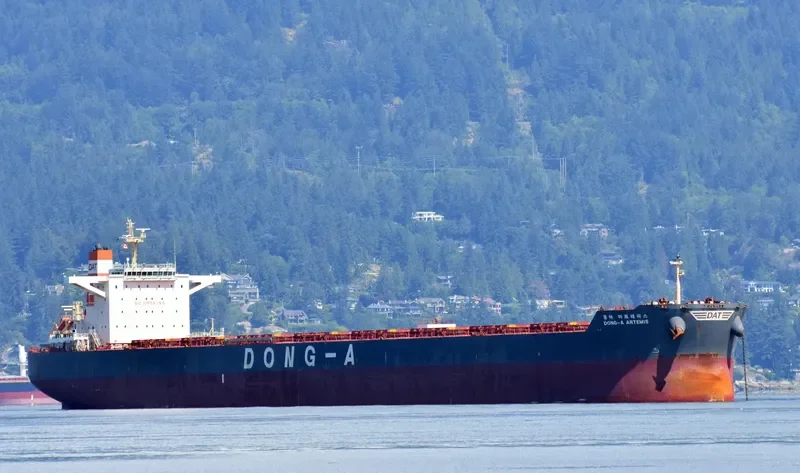 PARTNERSHIP Bulk Carrier IMO 9597848 photo 2