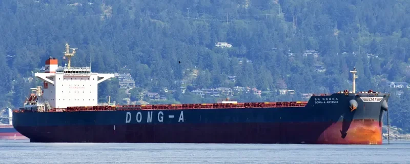PARTNERSHIP Bulk Carrier IMO 9597848 photo 3