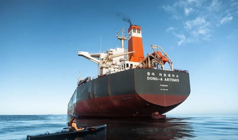PARTNERSHIP Bulk Carrier IMO 9597848 photo 6